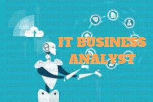 IT BUSINESS ANALYST